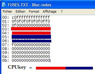 IPB Image